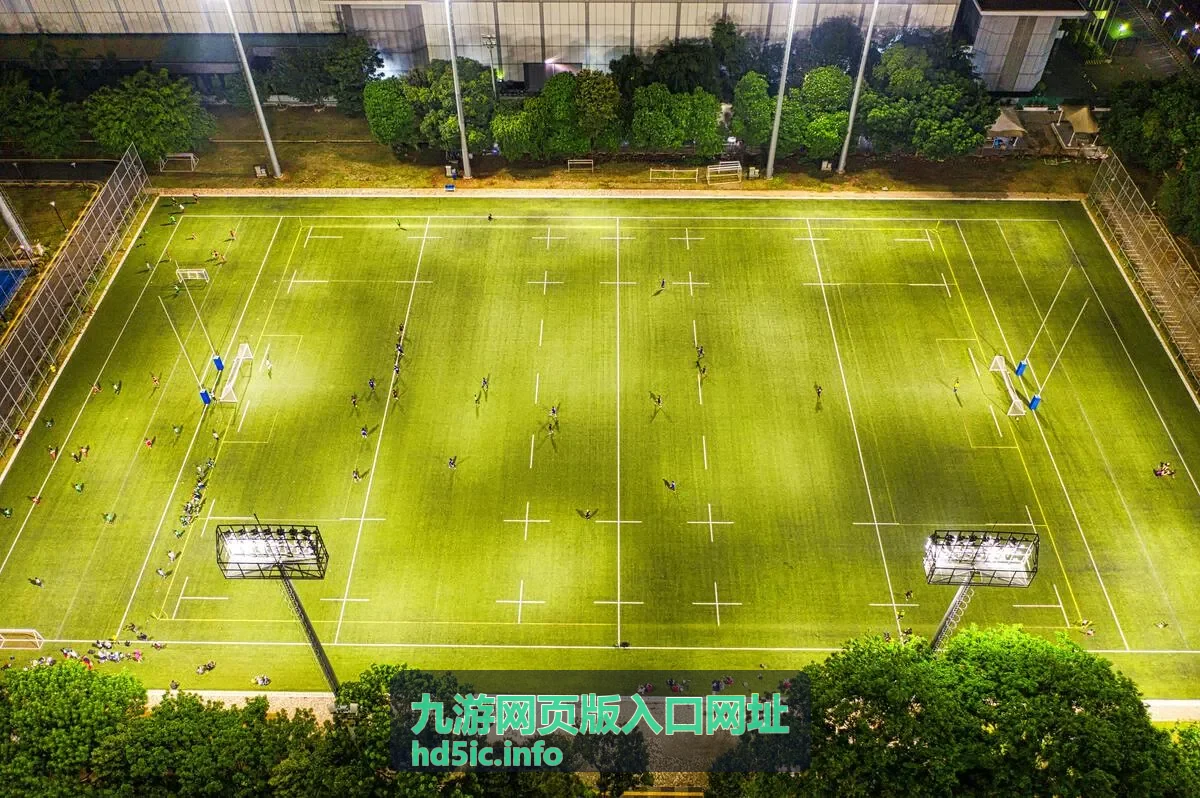 九游网页版入口网址地址栏核对示意图