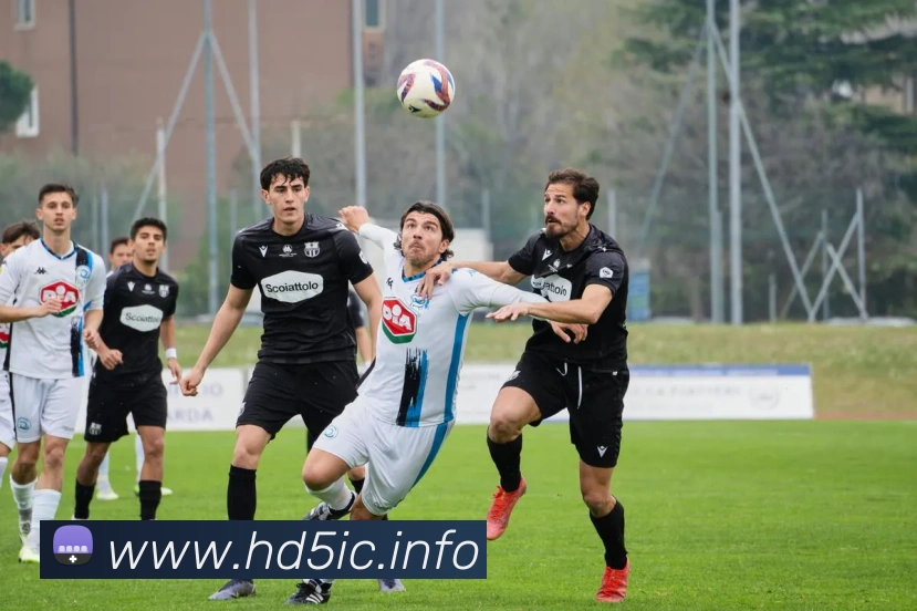 九游官网注册账号入口全站App